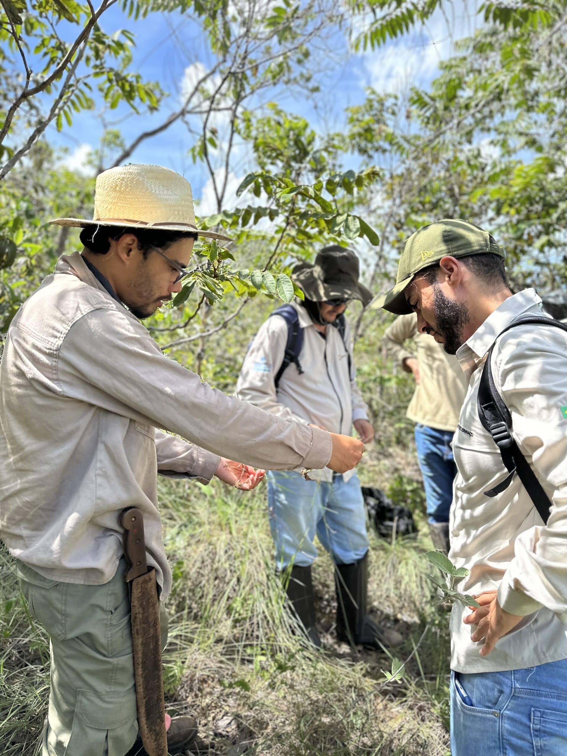 Comunidade Campeiro em campo